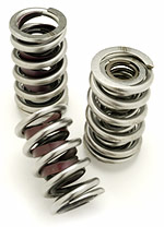 Titan Speed Engineering Valve-Springs